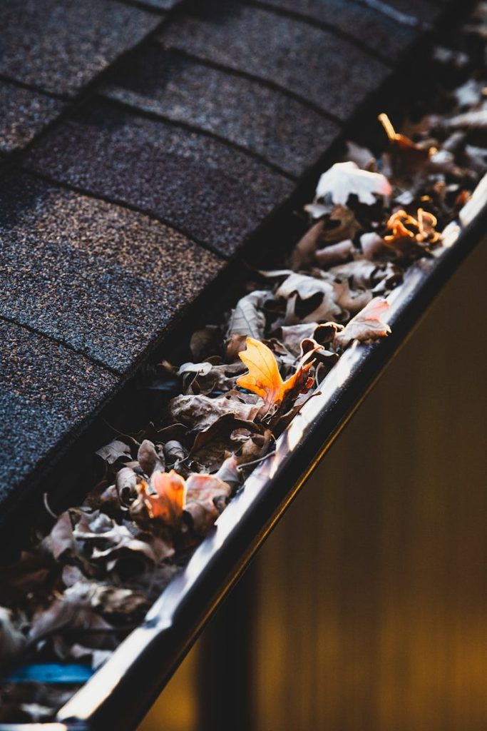 A clogged gutter on a home.