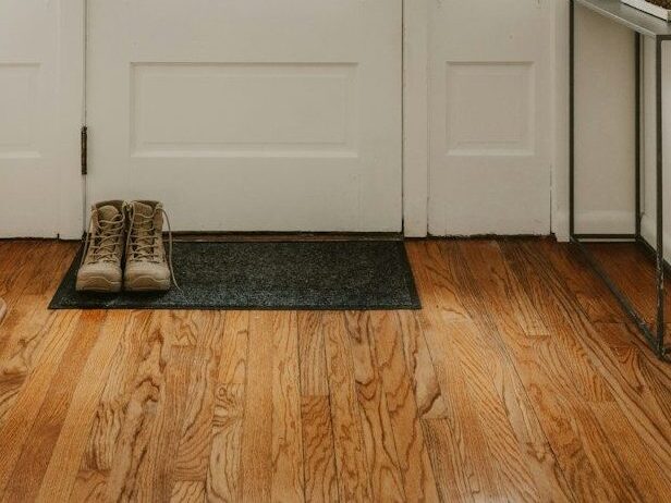 A cozy entryway with wooden floor.